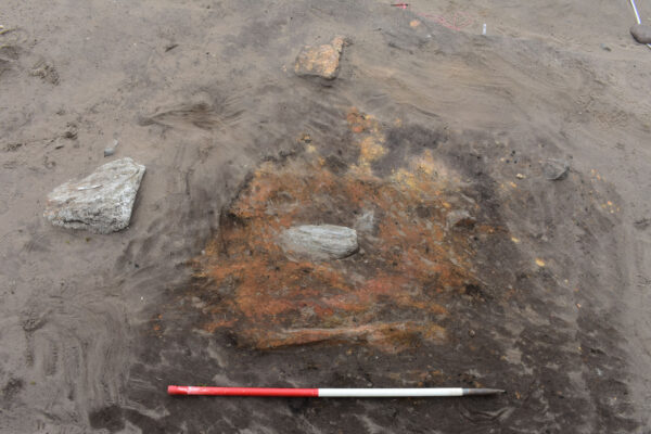 Pre-excavation image showing the bright ash layers of the hearth Pre-excavation image showing the bright ash layers of the hearth