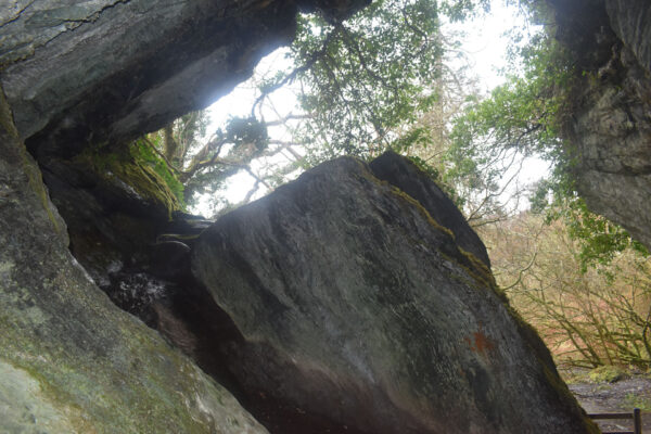 The cave entrance looking outside The cave entrance looking outside