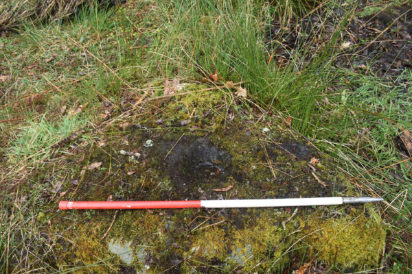 The rock-cut basin beside the waterfall The rock-cut basin beside the waterfall