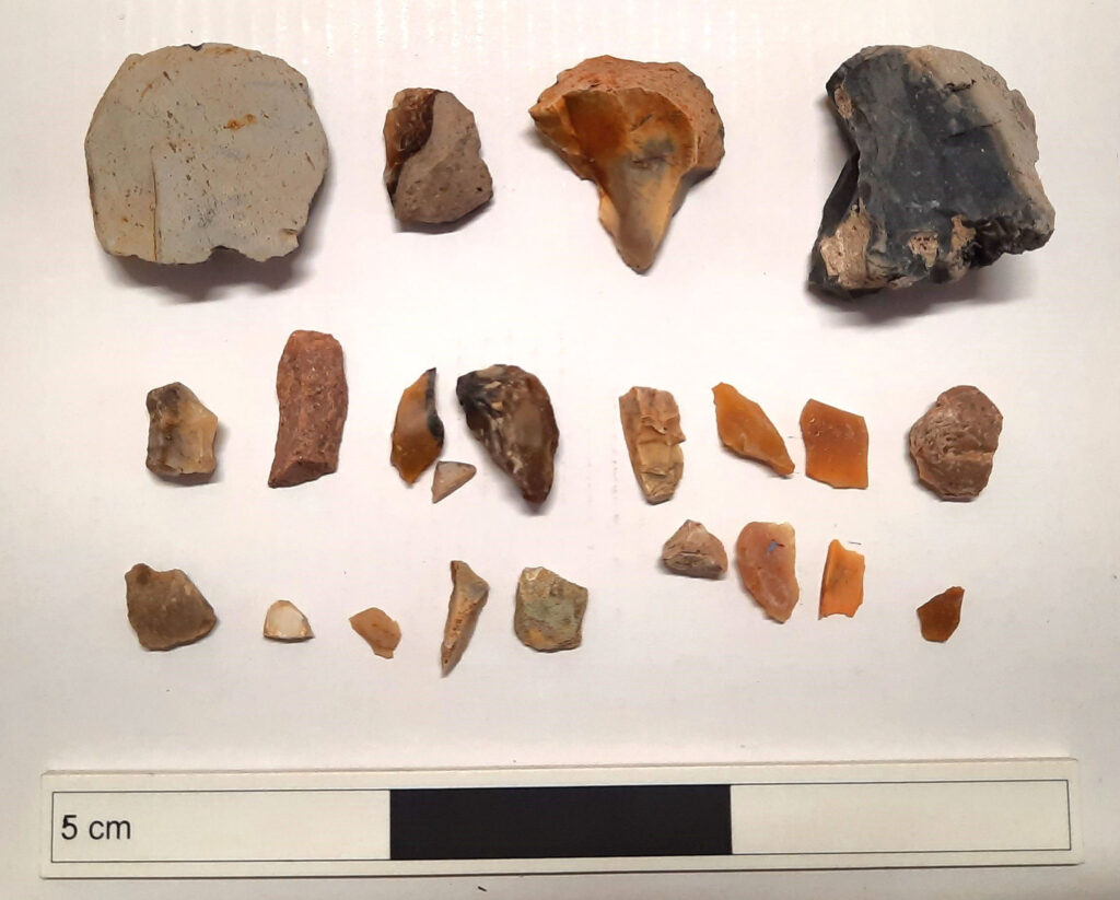 A selection of lithics from Staffin image of mesolithic stone tools