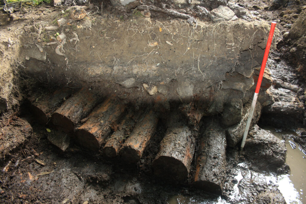 Trench section showing a log surface at the base Trench section showing a log surface at the base