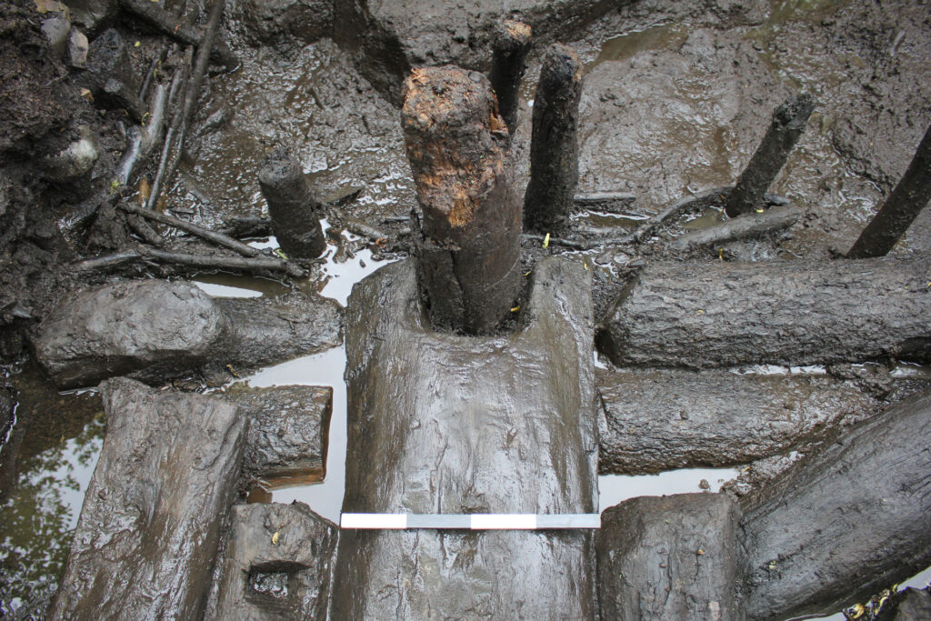 A threshold beam in the trackway showing an in situ post in the mortised end A threshold beam in the trackway showing an in situ post in the mortised end