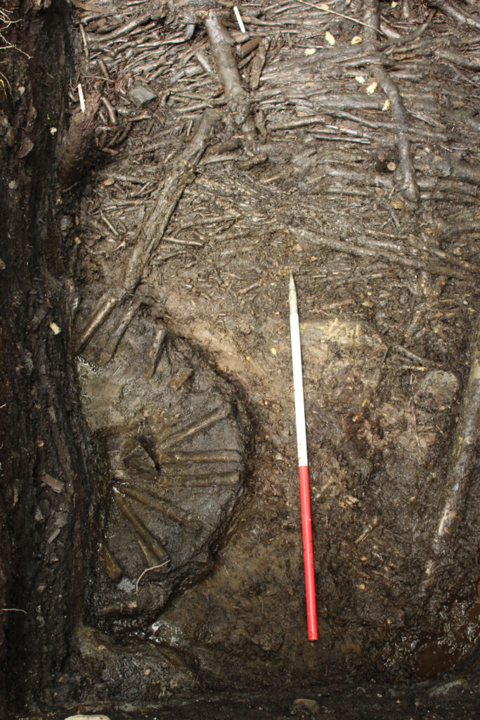 An enigmatic feature within roundhouse ST3 formed by a shallow hollow lined by hazel stakes An enigmatic feature within roundhouse ST3 formed by a shallow hollow lined by hazel stakes.
