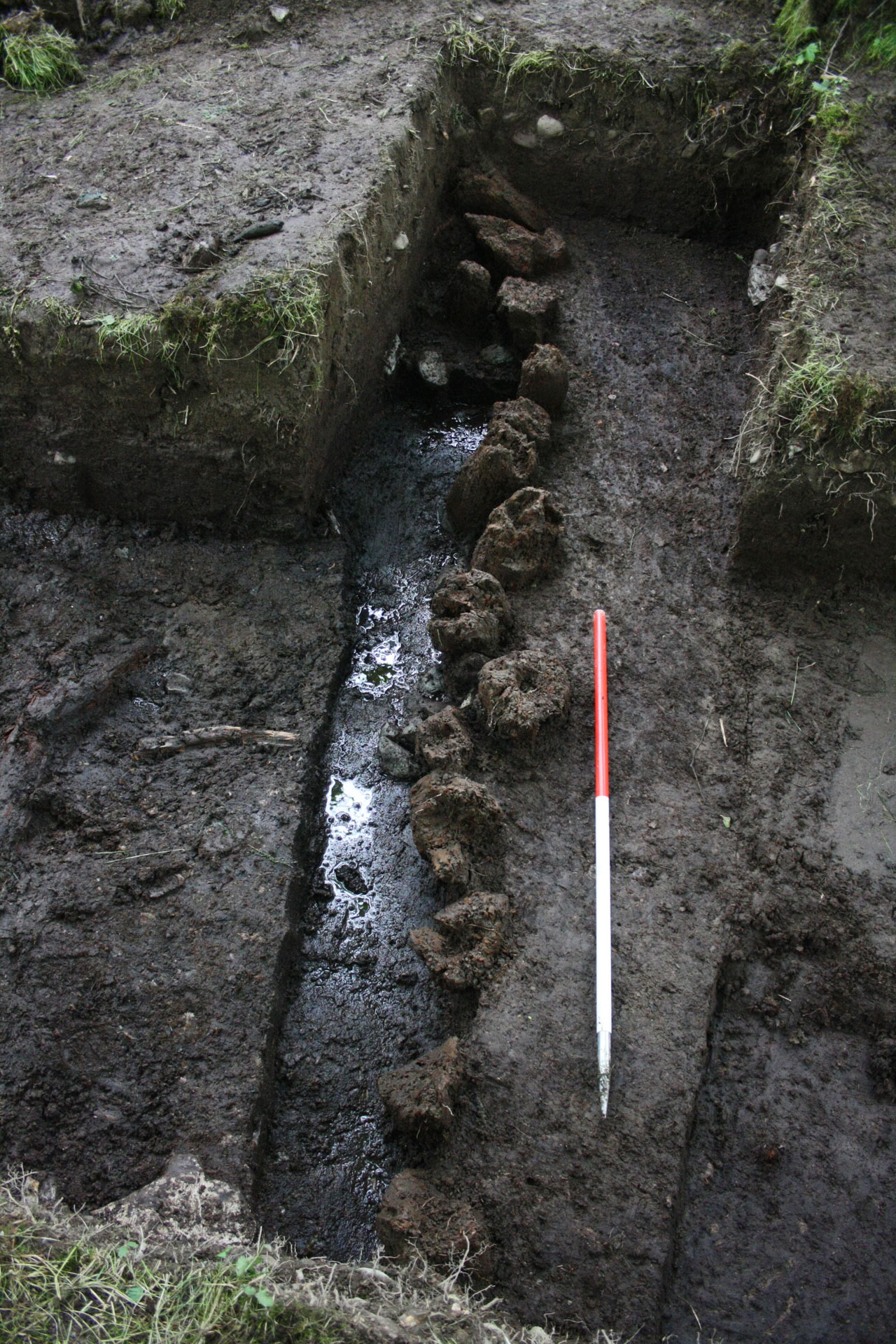 timber palisade
