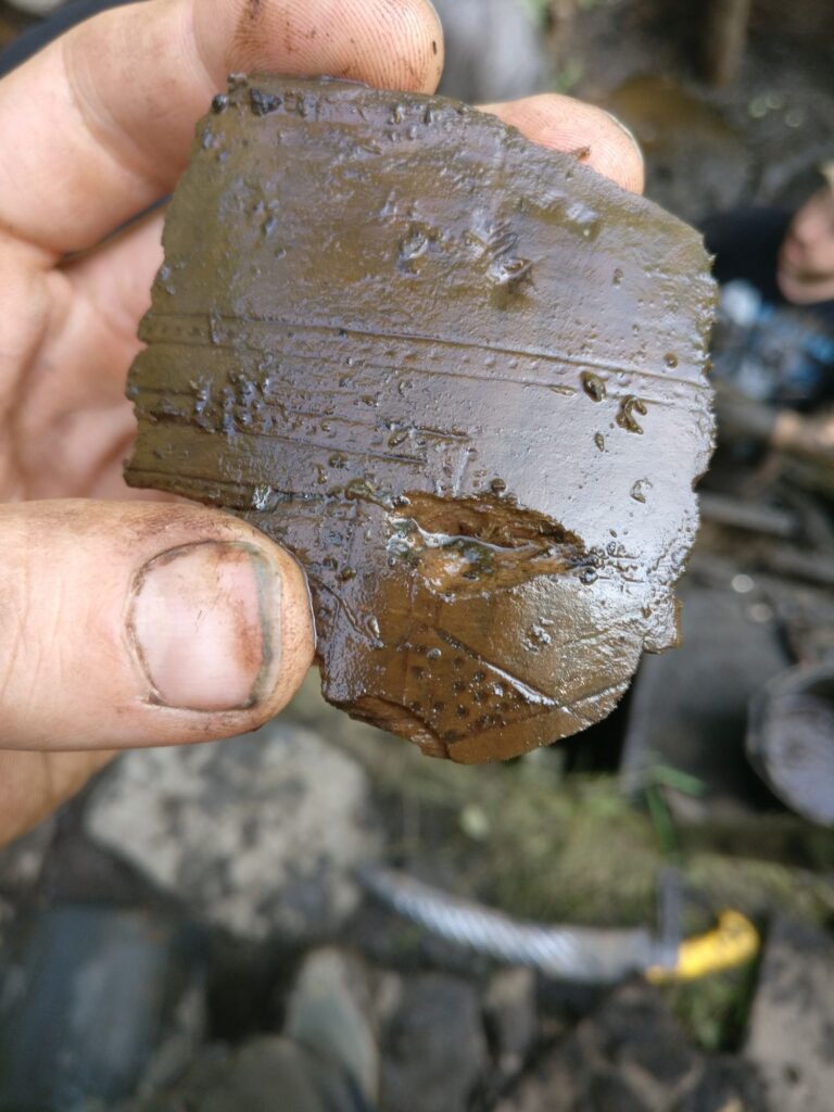 A fragment of a decorated wooden bowl A fragment of a decorated wooden bowl