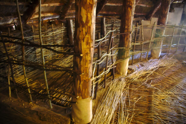 Posts and wattle floors and fences inside the reconstructed roundhouse