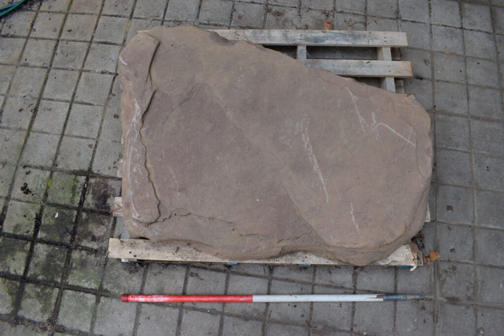 Decorated cist capstone slab Decorated cist capstone slab
